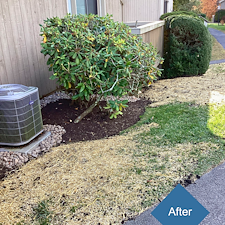 Fall-2025-Planting-Design-Installation-in-Oronoque-Village-Stratford-CT 11